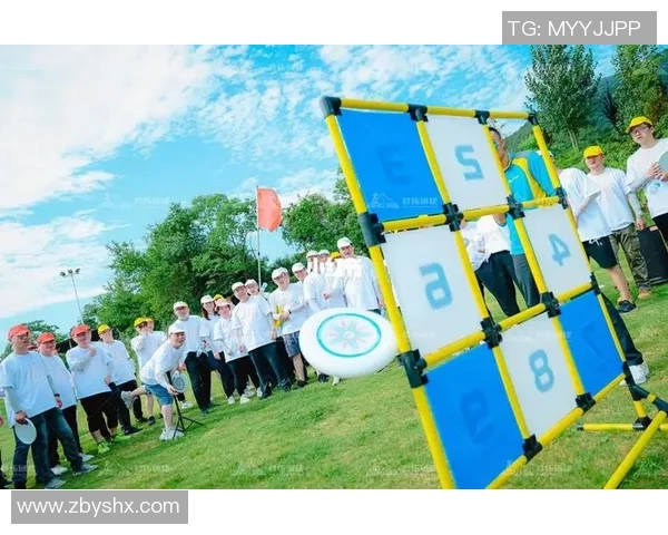 飞盘巨献：探秘武汉飞盘队的个人能力